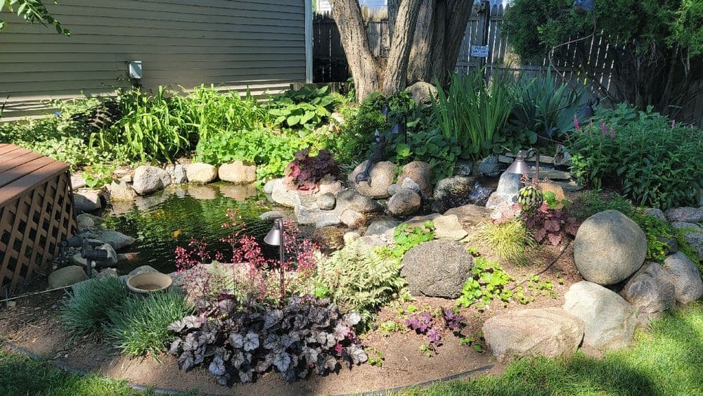 Lush garden pond surrounded by rocks, plants, and decorative lighting in a tranquil setting.
