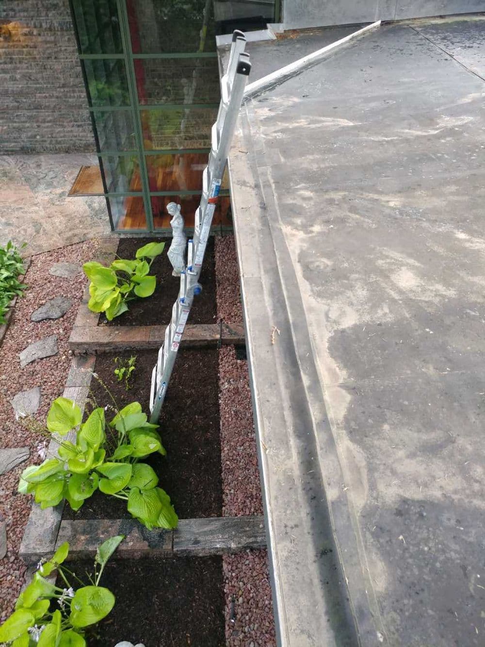 Ladder positioned on a rooftop near garden plants and gravel landscaping.
