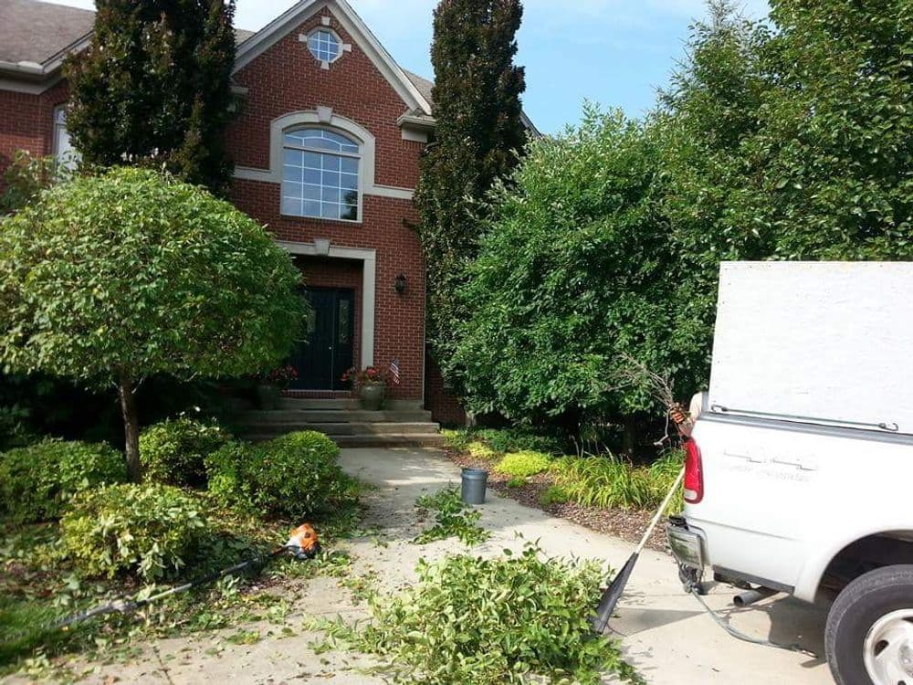Landscaping work in front of a brick house with trimmed bushes and yard debris.