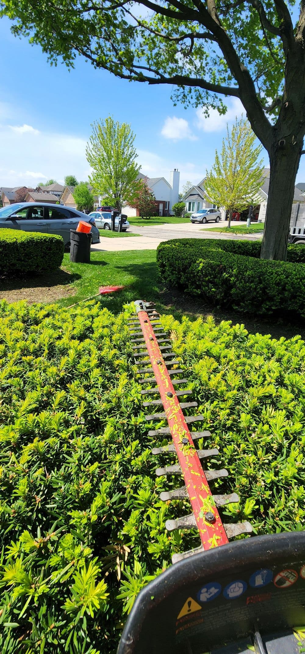 Garden hedge trimmer on lush green bushes with suburban homes in the background.