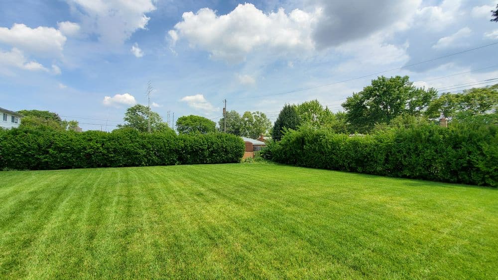 Lush green backyard with manicured grass and cloudy blue sky in a suburban setting.