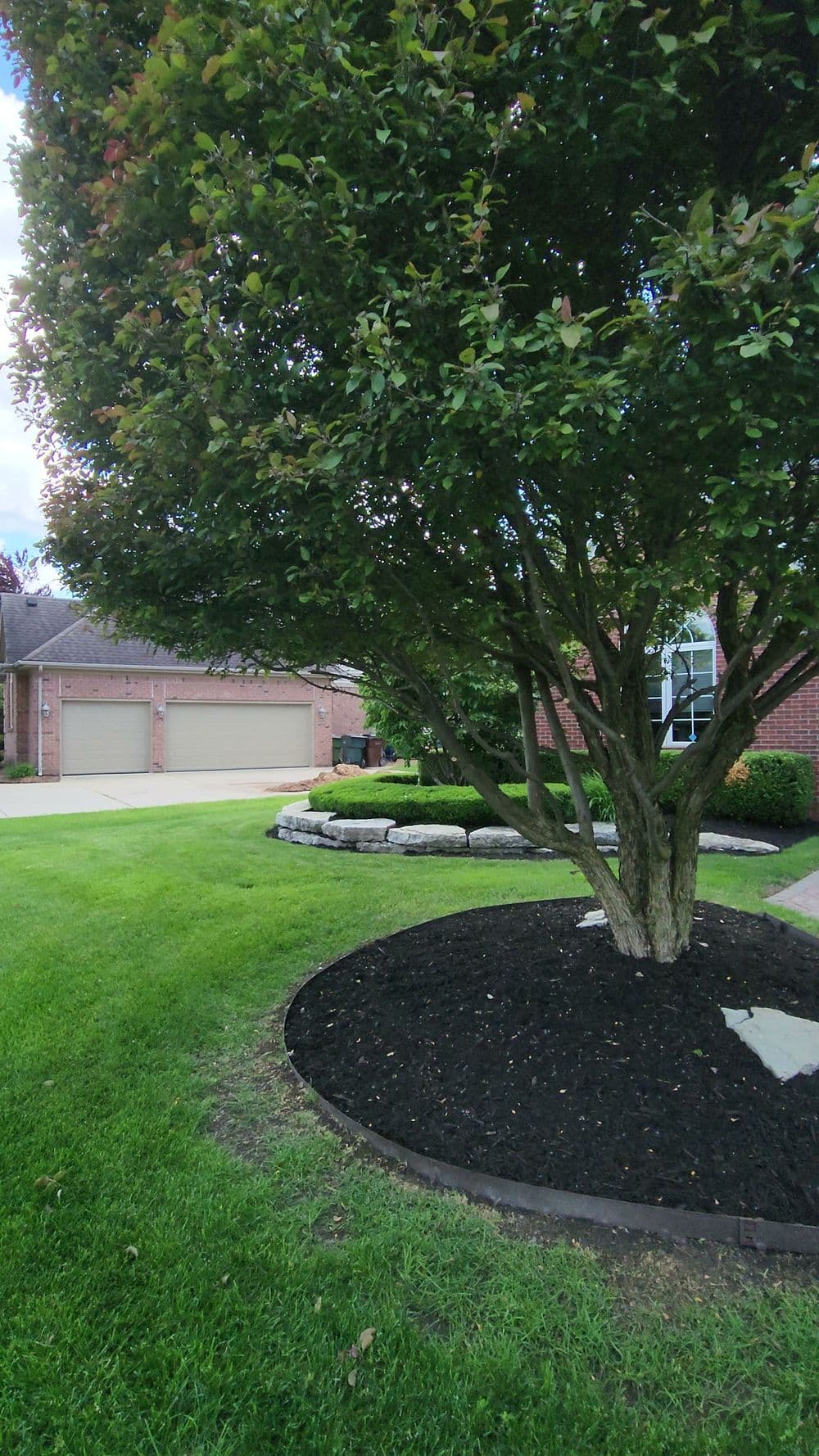 Well-maintained yard with large tree, stone border, and lush green grass next to a brick house.