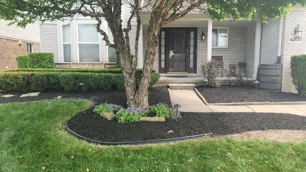 Front yard landscaping featuring a tree, flowers, and freshly mulched garden beds.