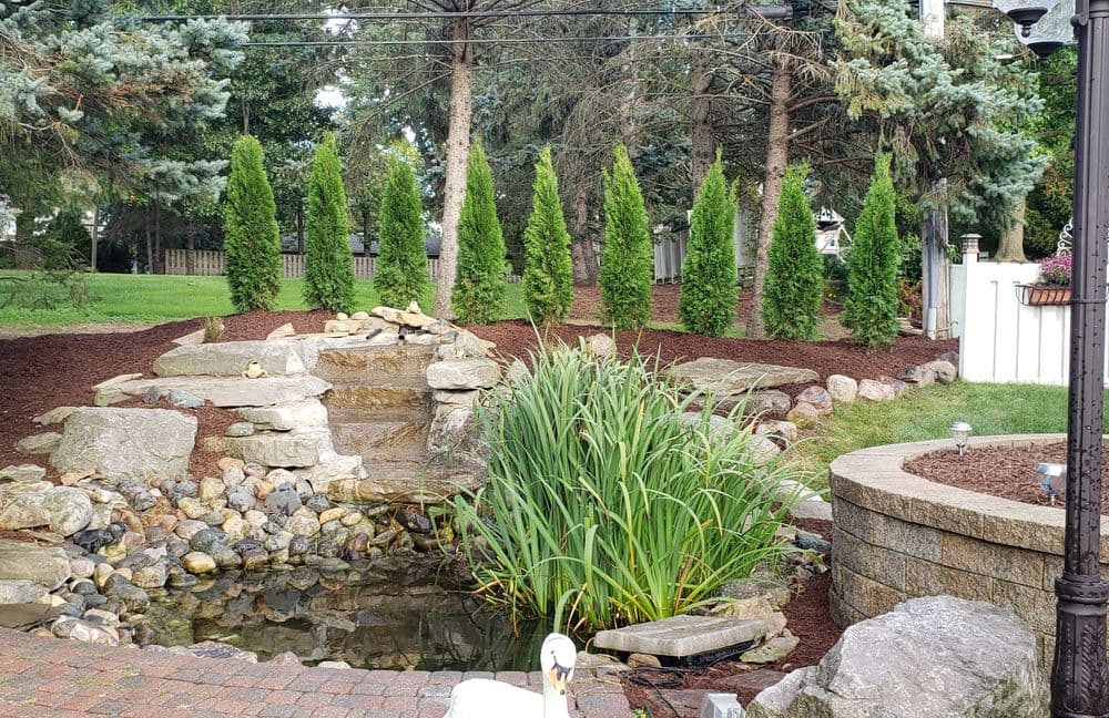 Lush backyard pond with rocks, greenery, and tall evergreens in a landscaped garden setting.