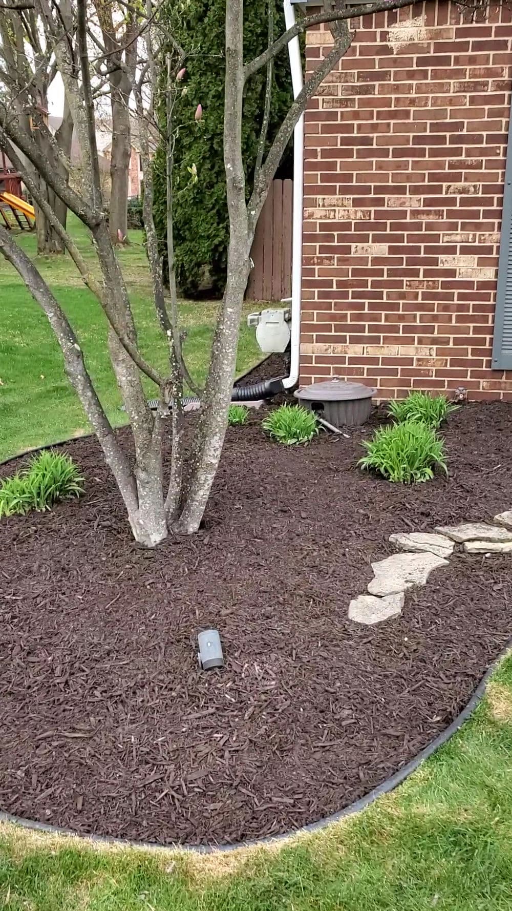 Tree in landscaped area with mulch, small plants, and stone path next to brick house.