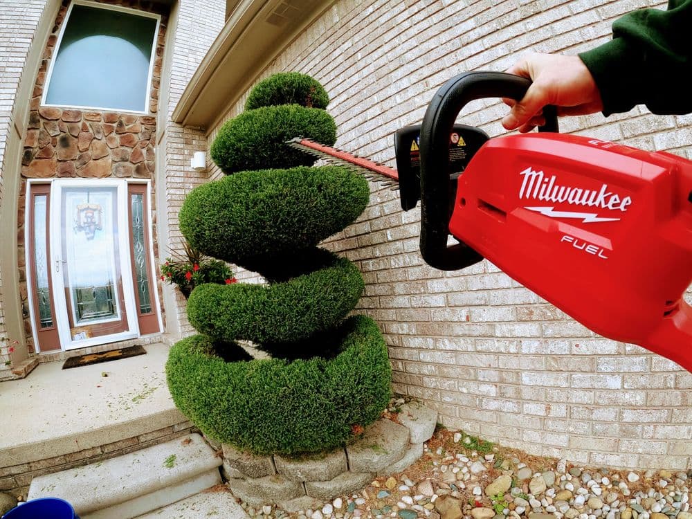 Person trimming spiral topiary with Milwaukee hedge trimmer near front door and flower pots.