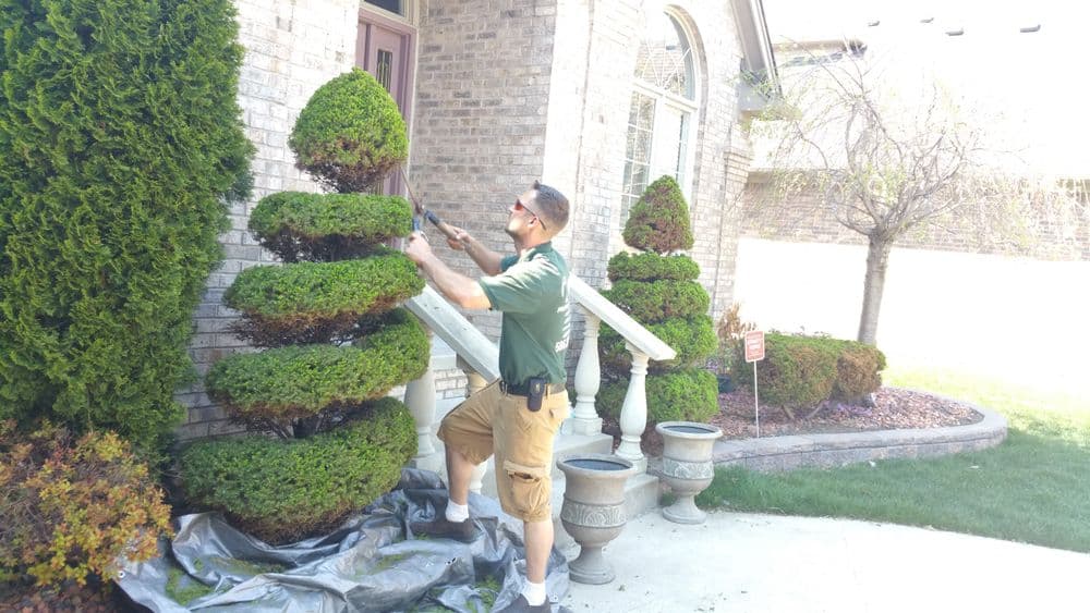 Man trimming hedges in a landscaped yard near a brick home with steps and flower pots.