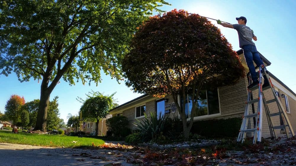 Man trimming a tree with a pole saw while standing on a ladder in a residential yard.