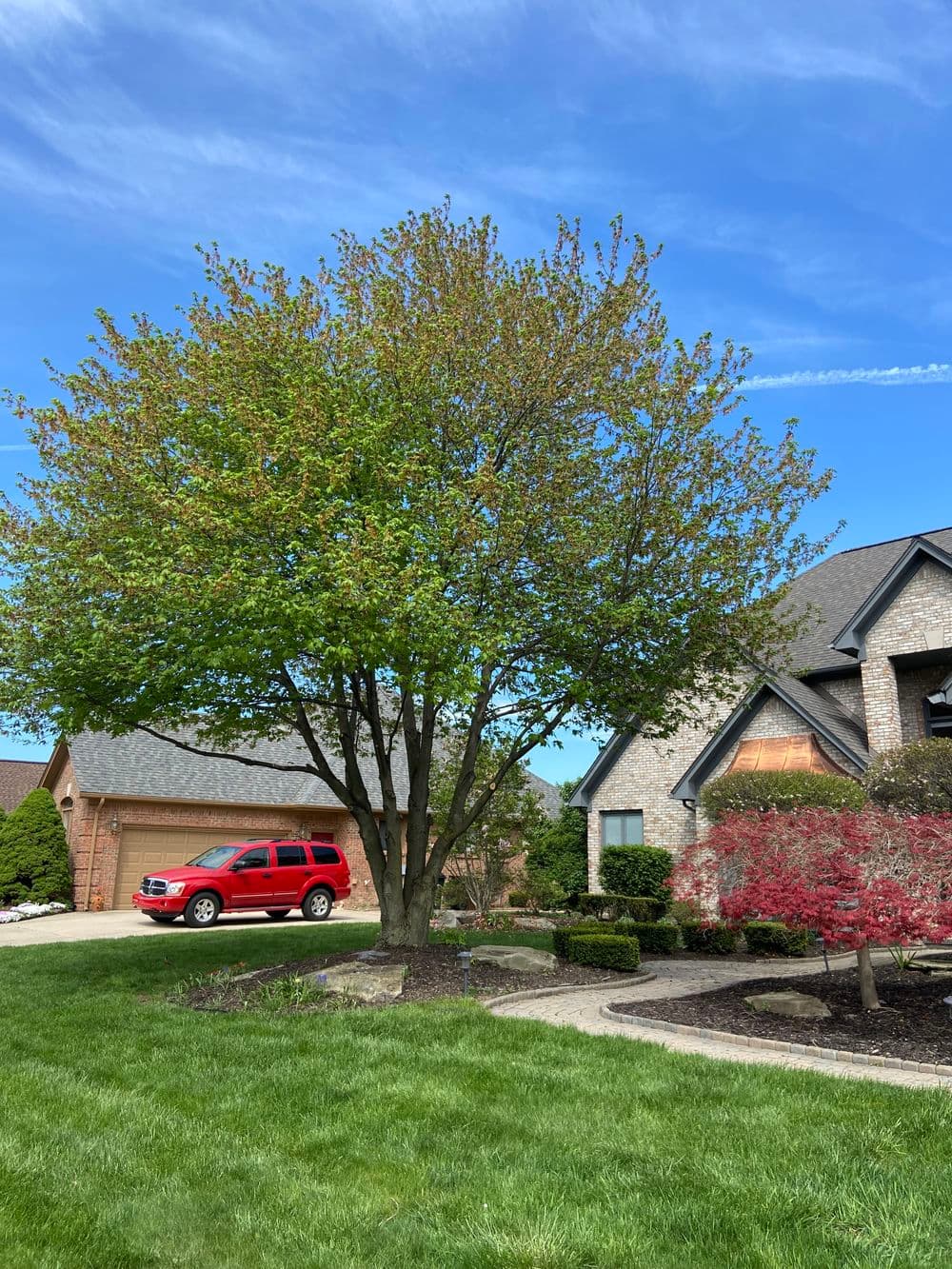 Red SUV parked near a leafy tree and well-maintained lawn at a suburban home.