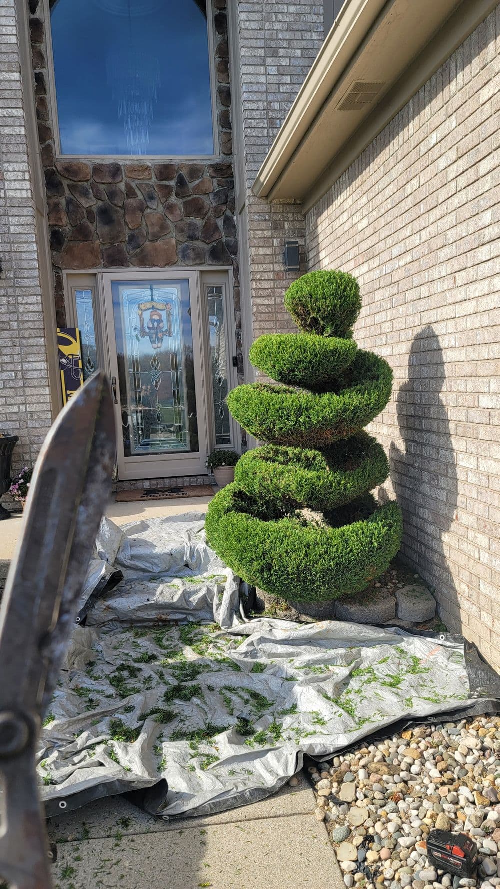 Topiary bush shaped like a cascading spiral near a house entrance, with gardening tools visible.