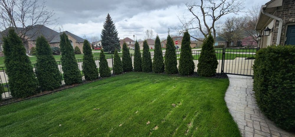 Lush green lawn with neatly trimmed hedges and a decorative stone pathway.