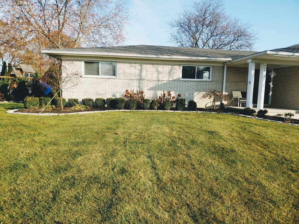 Front yard of a modern home featuring well-maintained grass and landscaping.