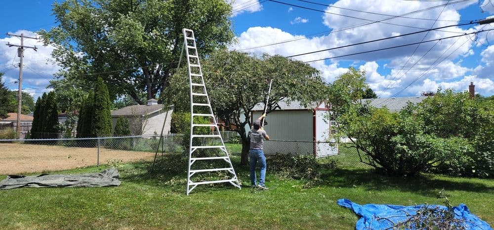 Person using a ladder to trim branches in a backyard with clear blue skies and scattered clouds.