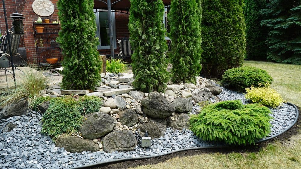 Lush garden landscape with rocks, evergreen trees, and decorative stones.