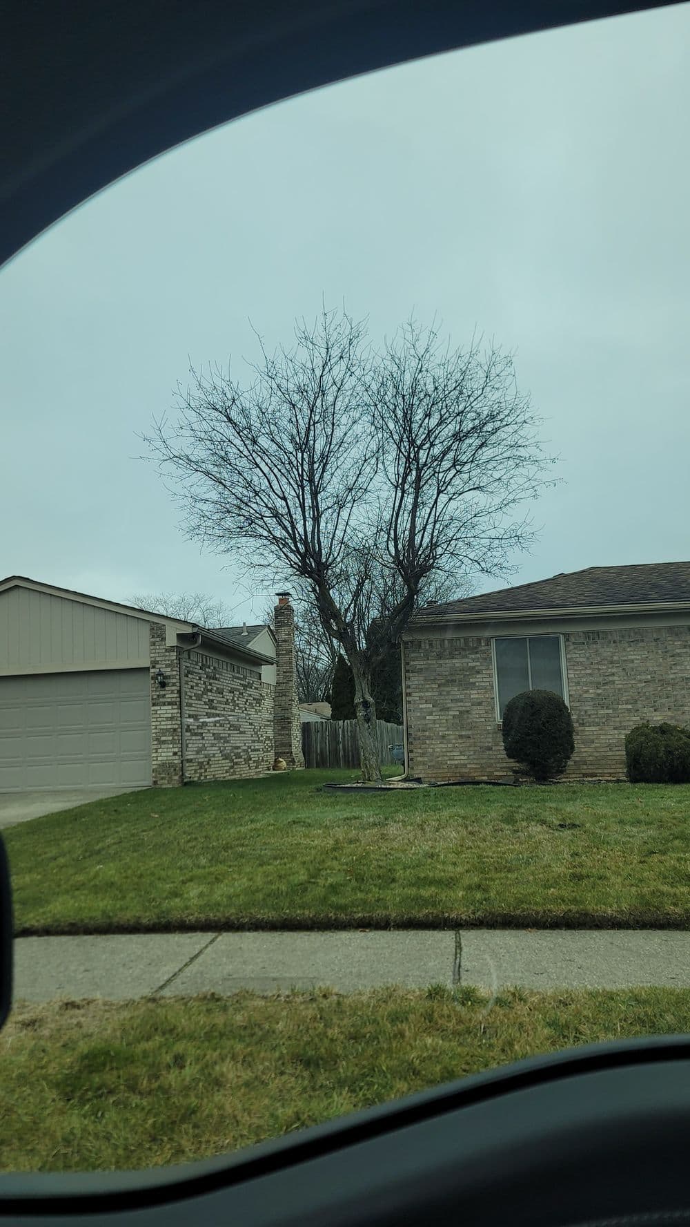 Leafless tree stands beside a brick house, with a gray sky in the background.