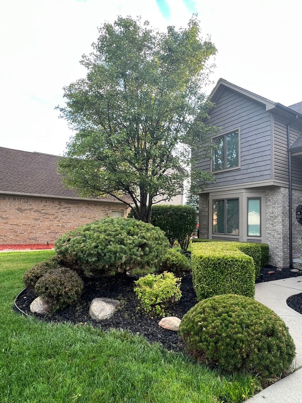 Lush front yard landscaping with shrubs, trees, and a pathway by a suburban home.