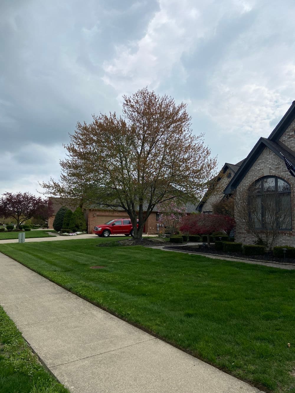 Spring landscape featuring a blossoming tree and a well-maintained suburban home.