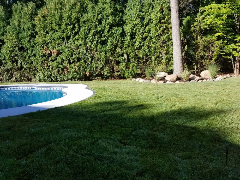 Lush green lawn beside a swimming pool, bordered by trees and rocks in a serene outdoor setting.