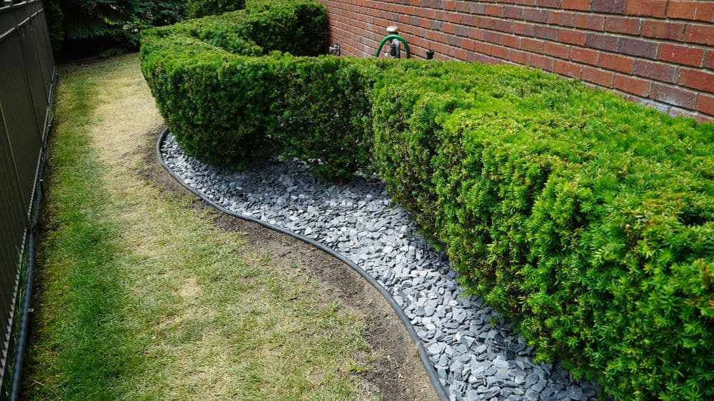 Curved garden bed with neatly trimmed shrubs and gray gravel pathway beside a brick wall.